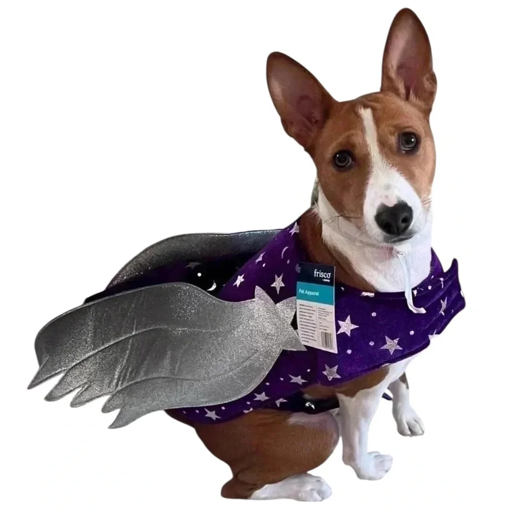 Frisco Shooting Star-Pegasus Dog or Cat 2 piece costume 💫